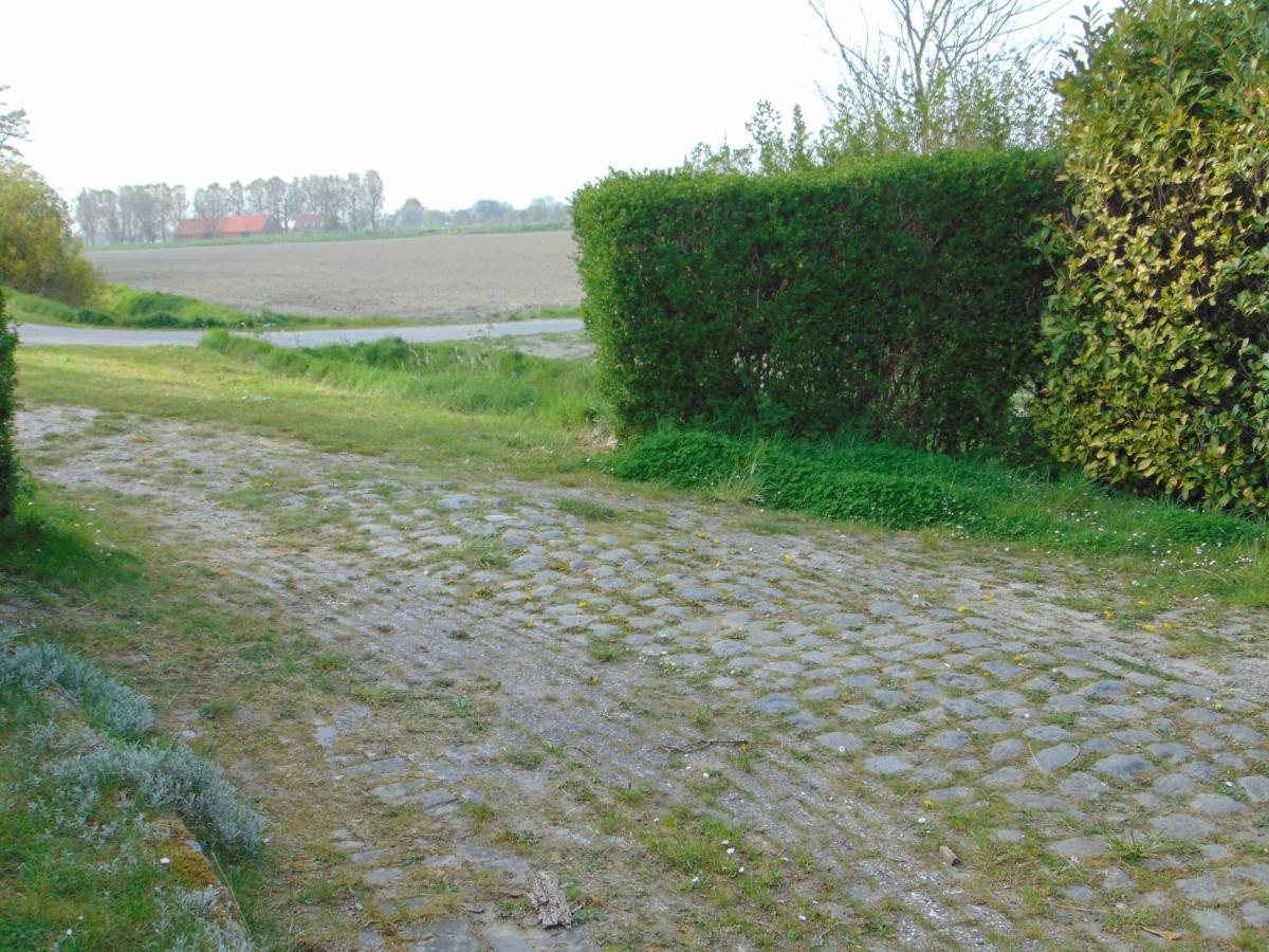 Polderhuis Voor 8-10 Personen Aan Zee Nieuwvliet Exterior foto